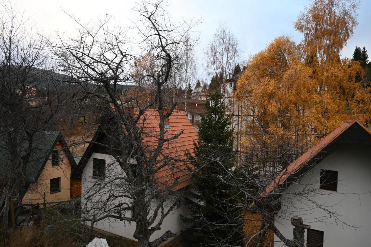 Apartman Vukasin Kopaonik Eksteriør bilde